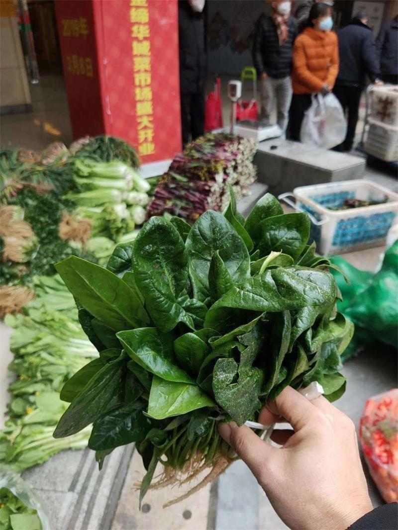 宜粮集团守好宜昌“米袋子”
