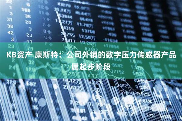 KB资产 康斯特：公司外销的数字压力传感器产品属起步阶段