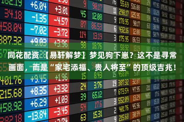 同花配资 【易轩解梦】梦见狗下崽?这不是寻常画面,而是“家宅添福、贵人将至”的顶级吉兆!