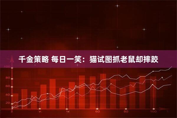 千金策略 每日一笑:猫试图抓老鼠却摔跤