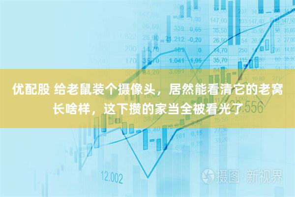 优配股 给老鼠装个摄像头，居然能看清它的老窝长啥样，这下攒的家当全被看光了